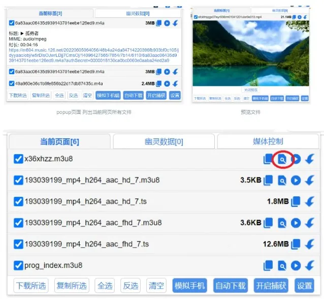 猫抓(cat catch) V2.6.5